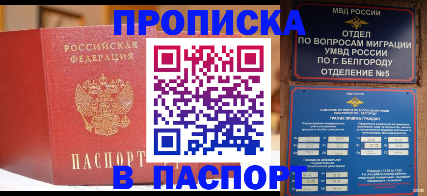 временная регистрация в квартире в Малой Вишере